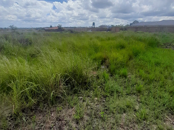 Prime 2000m² Residential Land for Sale in Pomona, Harare North