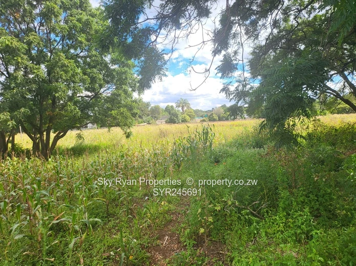 8 Stands For Sale In Borowdale