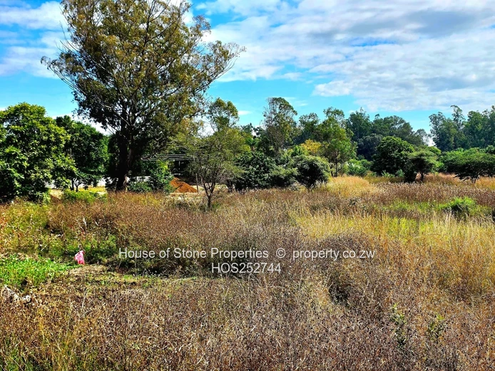 New On The Market| Mt Pleasant, The Chase
