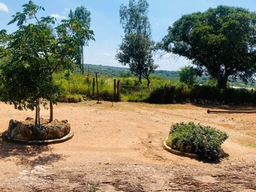 Farm & Agricultural Land