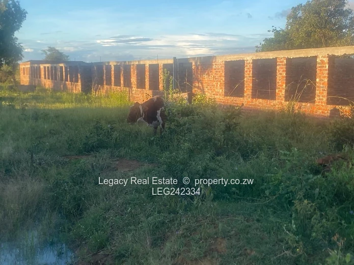 Prime Agricultural Land for Sale – Chegutu (10 Hectares)
