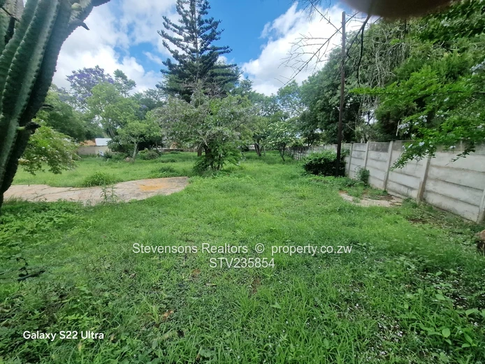 Great Starter Family Home With Potential!