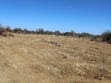 Farm & Agricultural Land