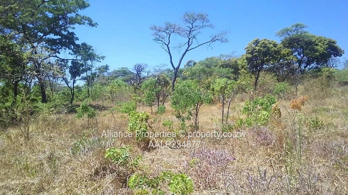  Ready-to-Build Hilltop Stand in Chishawasha Hills with Unobstructed Panoramic Views (Sole Mandate)