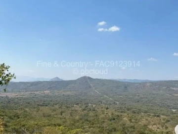 Farm & Agricultural Land