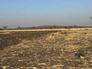 Farm & Agricultural Land