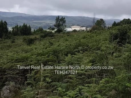 *NYANGA 5 HECTARES PLOT FOR SALE.*  10 mins drive from PACKSHADE INN 