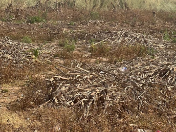 Commercial & Industrial Land