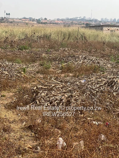 Damofalls Commercial Land