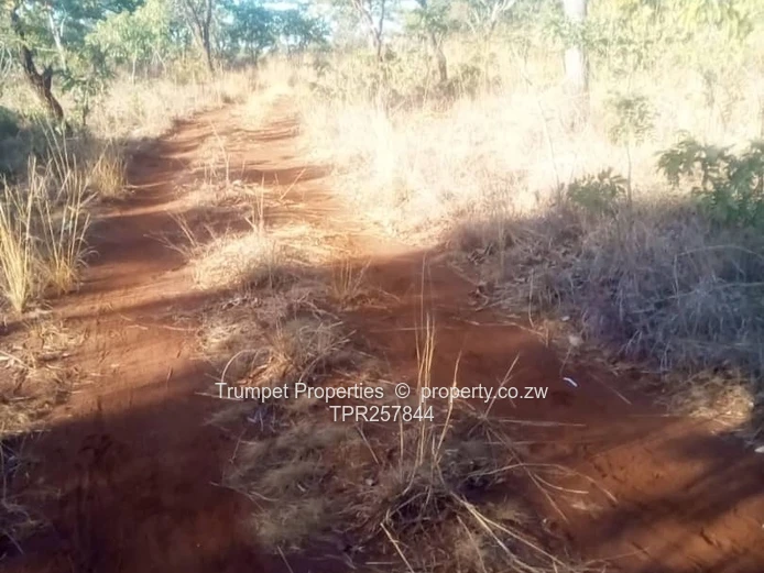 229ha Banket Farm — Irrigation, Grazing & Subdivision