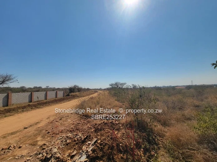 1 Acre Buena Vista Stand For Sale