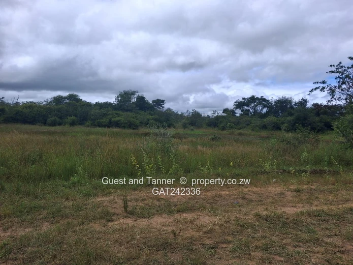 60-hectare Plot For Sale In Beatrice