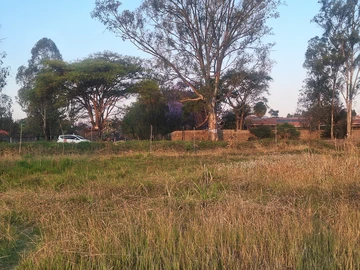 Stands & Residential Land