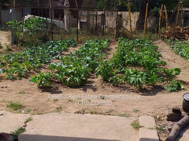 Waterfalls house for sale 