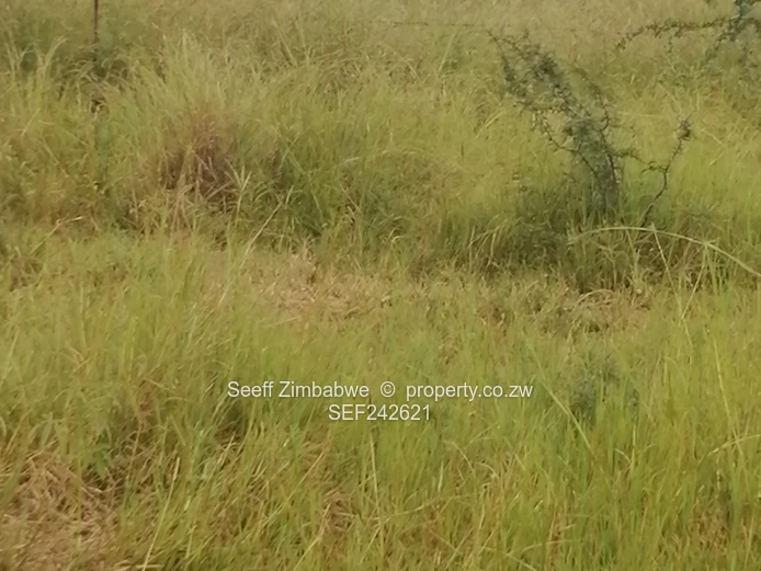 Rare Gem in Kensington, On Prime 8094 square meters virgin land in Bulawayo with Enormous Potential (Sole Mandate)