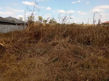 Stands & Residential Land