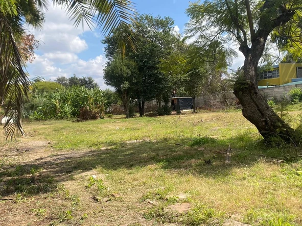 Commercial & Industrial Land