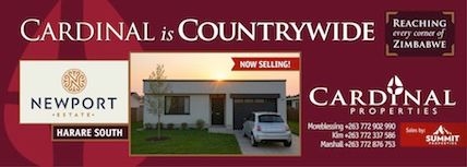 Newport Search Banner