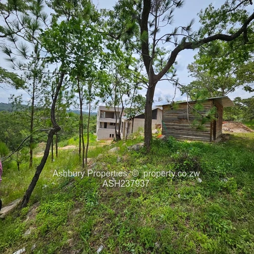 A rare to find stand at the Heart of Glen Lorne on Folyjon Crescent.
