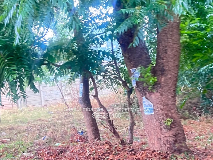 Land For Sale In Mandara