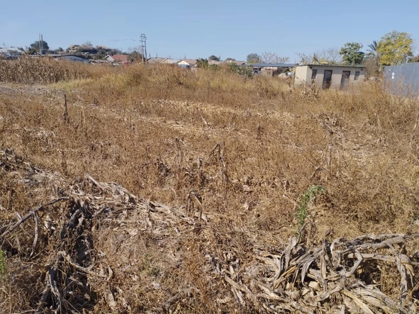 Commercial & Industrial Land