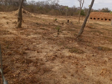 Farm & Agricultural Land