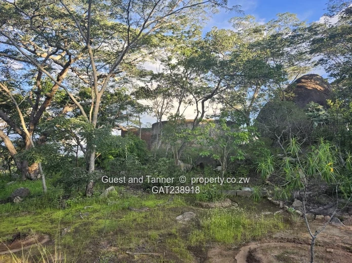 Ruwa Agro Residential Plot for Sale - 3.88ha with Farmhouse and Excellent Water Infrastructure