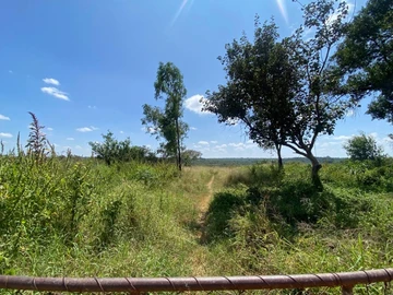 Farm & Agricultural Land