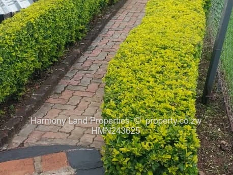 4 bedroomed house to let in Borrowdale Brooke