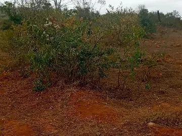 2km from pa Nyika, just near Pambudzi.345sqm for ONLY USD$7 417 Deposit is 25%. Bal over 24 months. 
