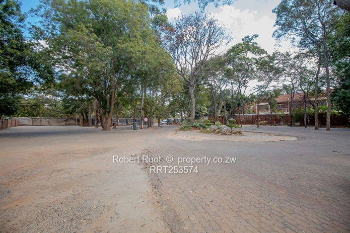 Prime Mixed-Use Ridgeway North Property (Sole Mandate)