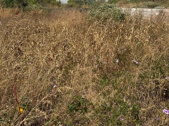 Commercial & Industrial Land