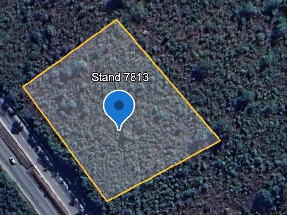 Stands & Residential Land