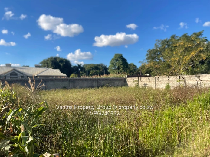 Bluff Hill Stand For Sale