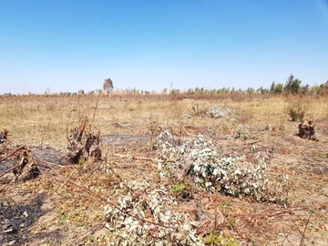 Commercial & Industrial Land