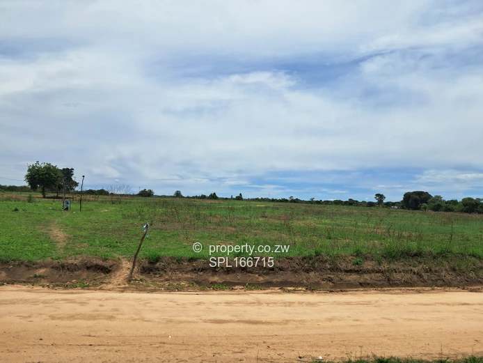 5.2 hectares Farmland. (Sole Mandate)