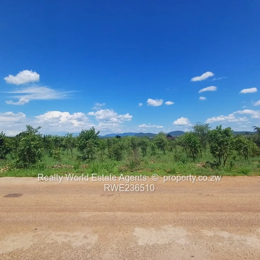 Masvingo Clipsham Stand For A School 