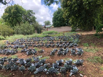 Farm & Agricultural Land