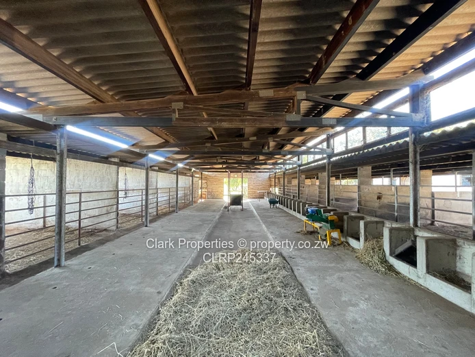 Multipurpose Farm Close To Bulawayo