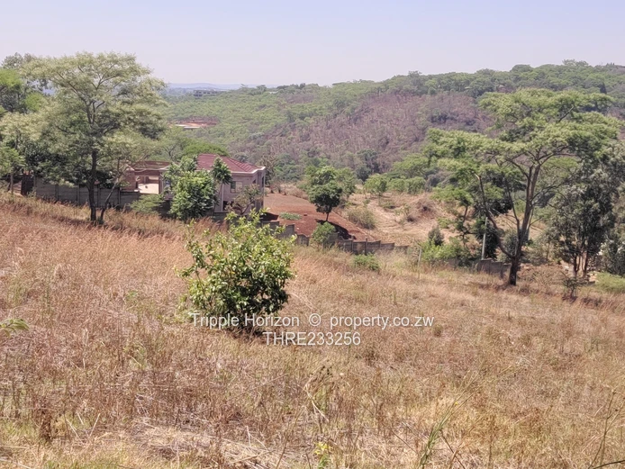 Enormous Investment Opportunity 