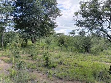 Farm & Agricultural Land