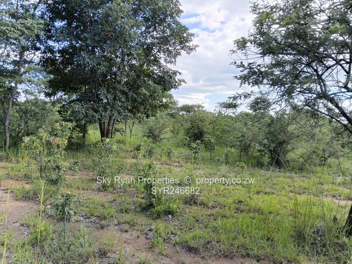 Beatrice Farm For Sale 