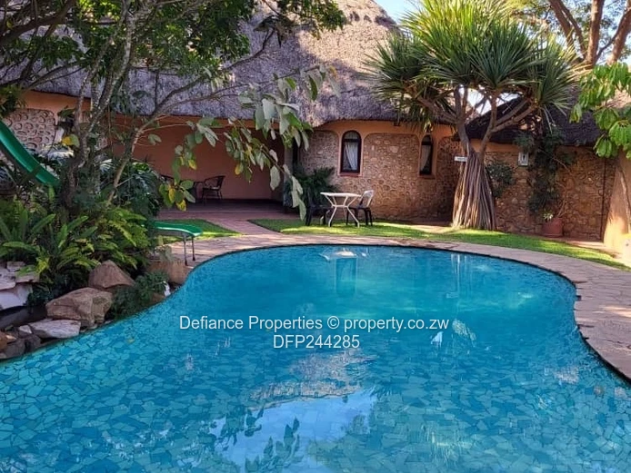 Investment opportunity 