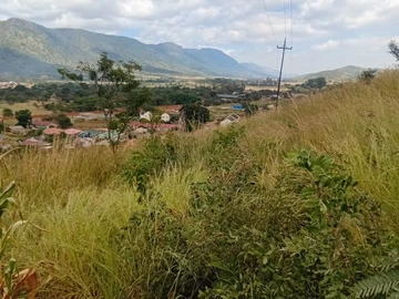 Commercial & Industrial Land
