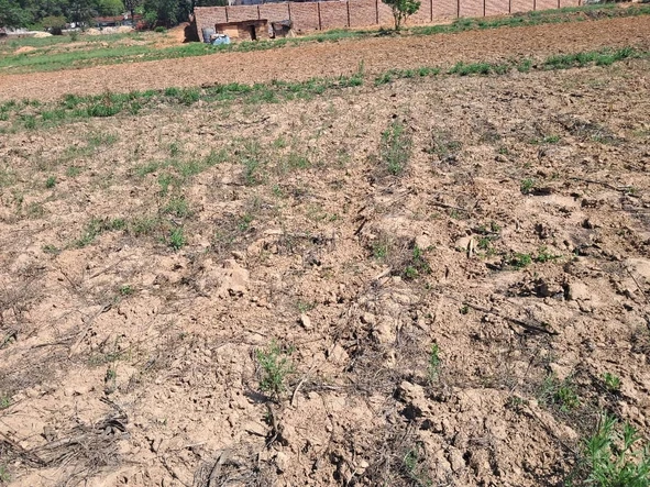 Farm & Agricultural Land