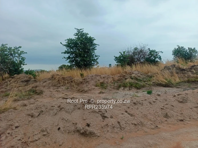 Rainfall Stand for Sale