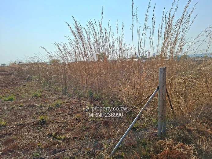 Sawara Hills Crowhill Phase stands for sale (Sole Mandate)