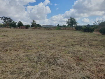 Land