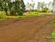 Commercial & Industrial Land