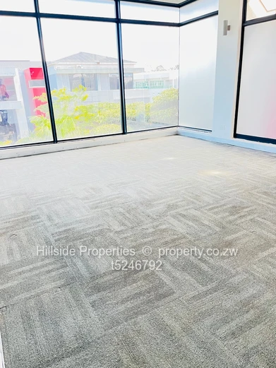 Smatsatsa office Park to Let 
